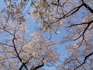 DSC01448.JPG