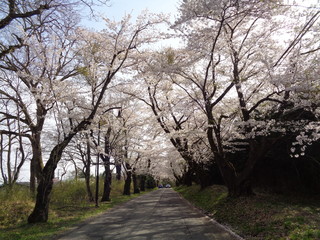 DSC02580.JPG