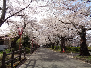 DSC02582.JPG